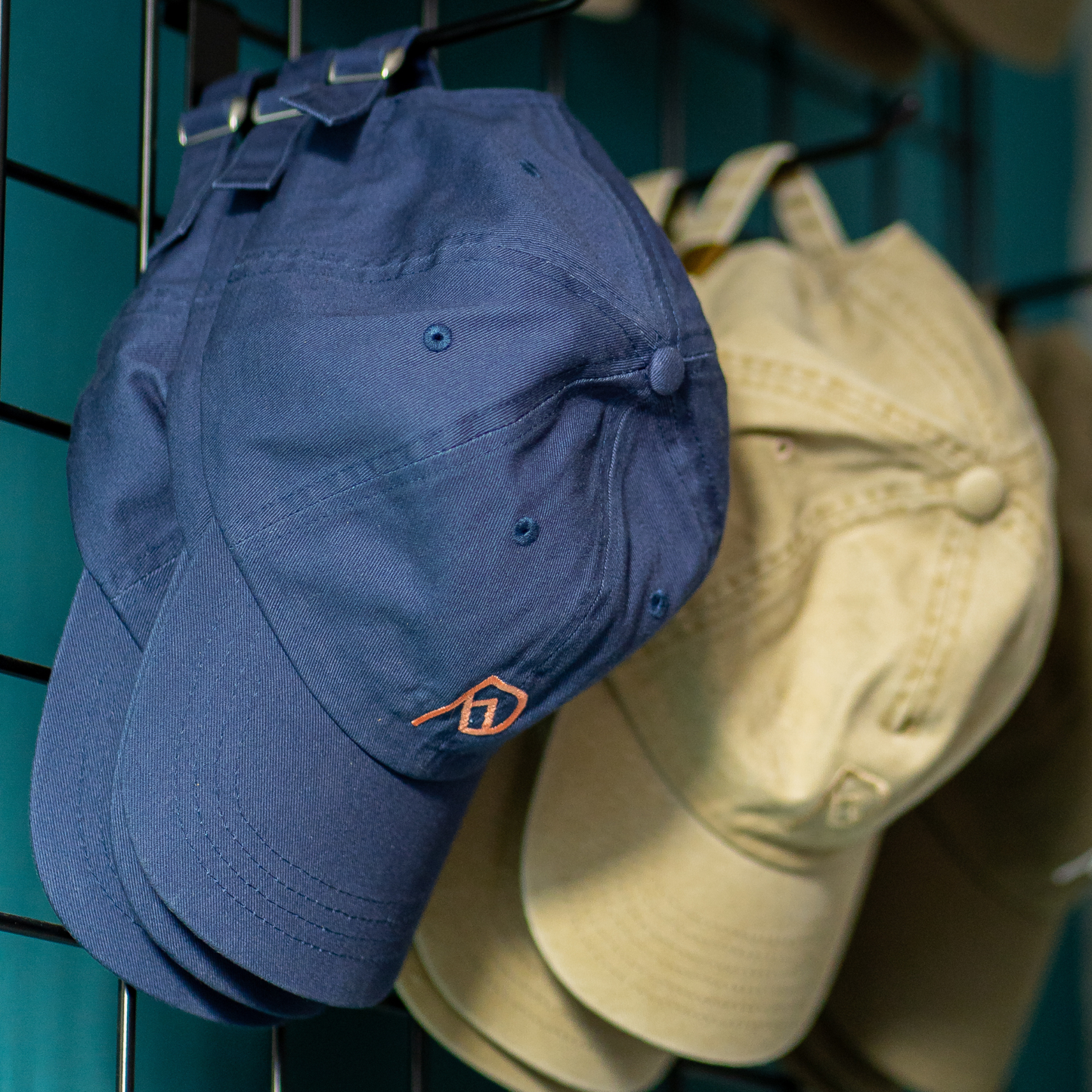 Ridgeline Cap - Tarn