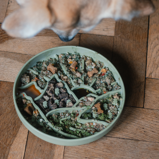 Mountain Slow Feeder - Sage Summit