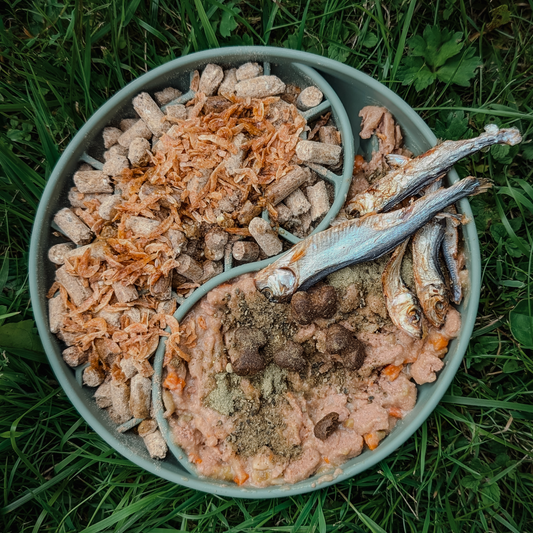 Honeycomb Slow Feeder