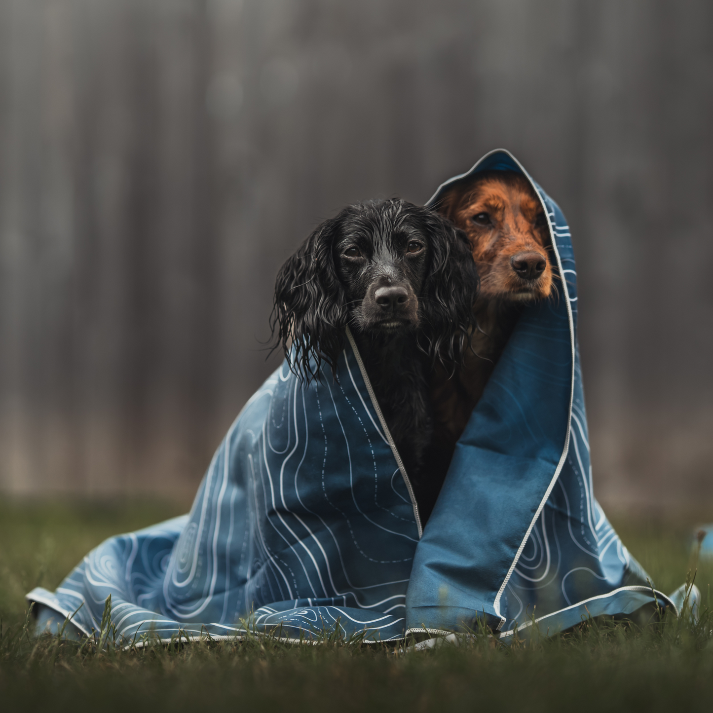 PeakDry Towel