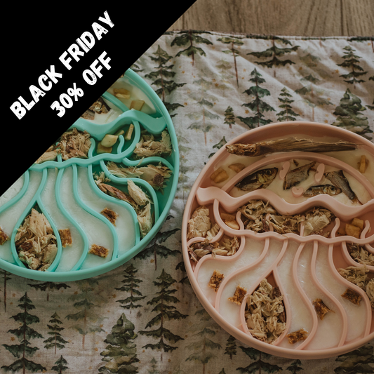 Jelly Dish Slow Feeder