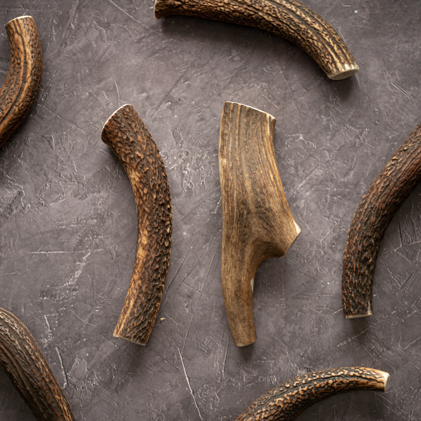 Antler Whole