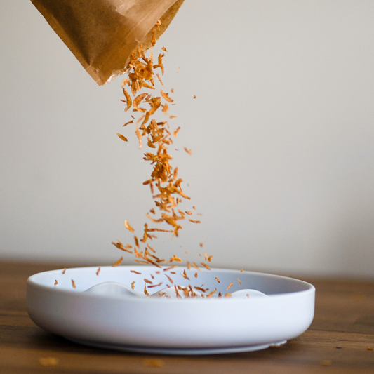 Dried Shrimp