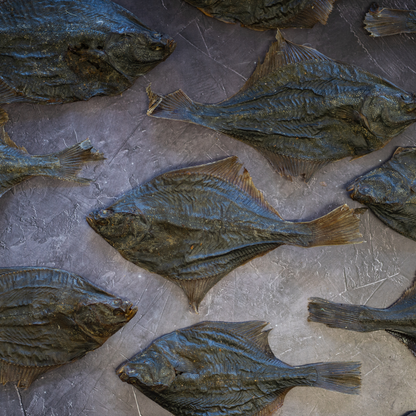 Flounder Fish