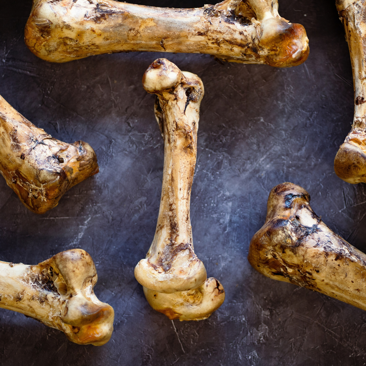 Ostrich Bone