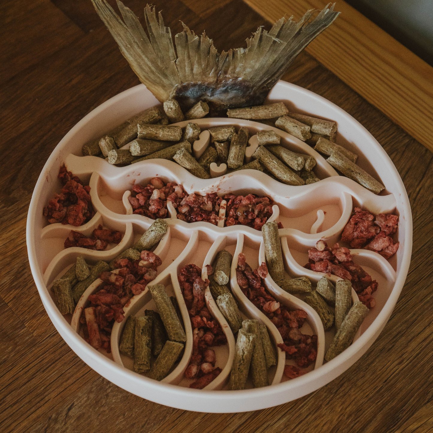 Jelly Dish Slow Feeder - Coral Reef
