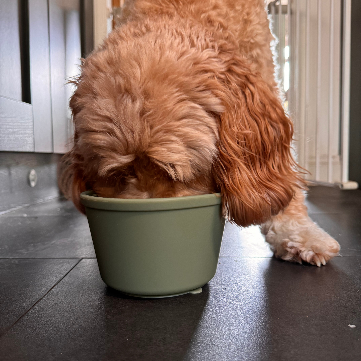 Lick Pot - Sage Green