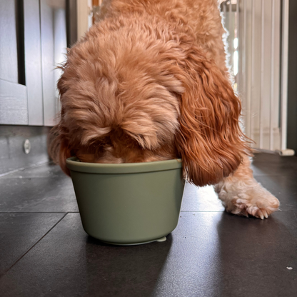 Lick Pot - Sage Green