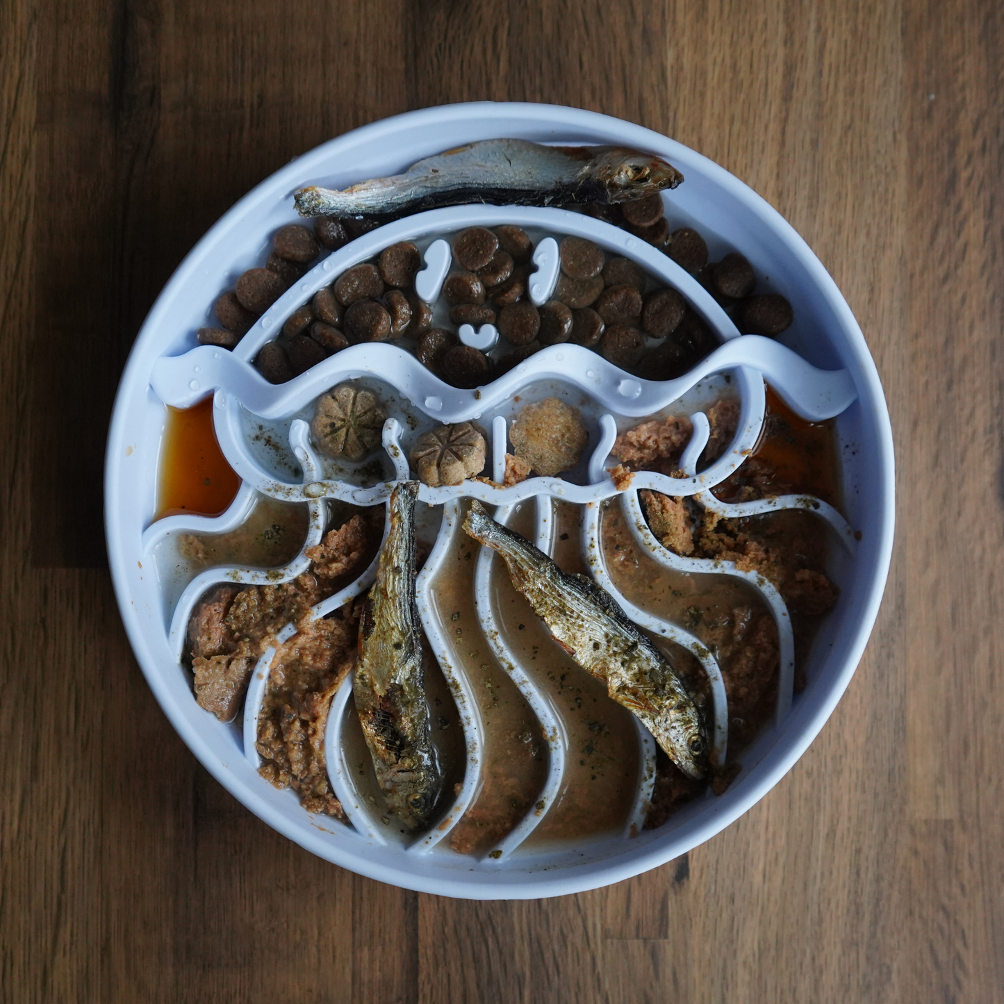 Jelly Dish Slow Feeder - Ocean Mist