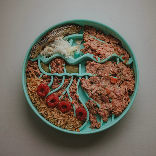 Jelly Dish Slow Feeder - Seagrass