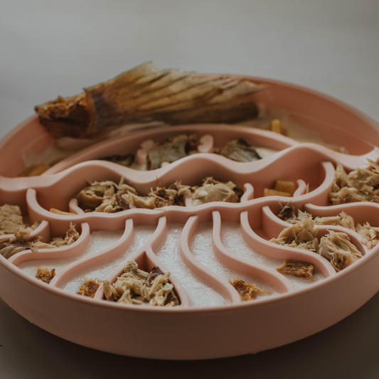 Jelly Dish Slow Feeder - Coral Reef