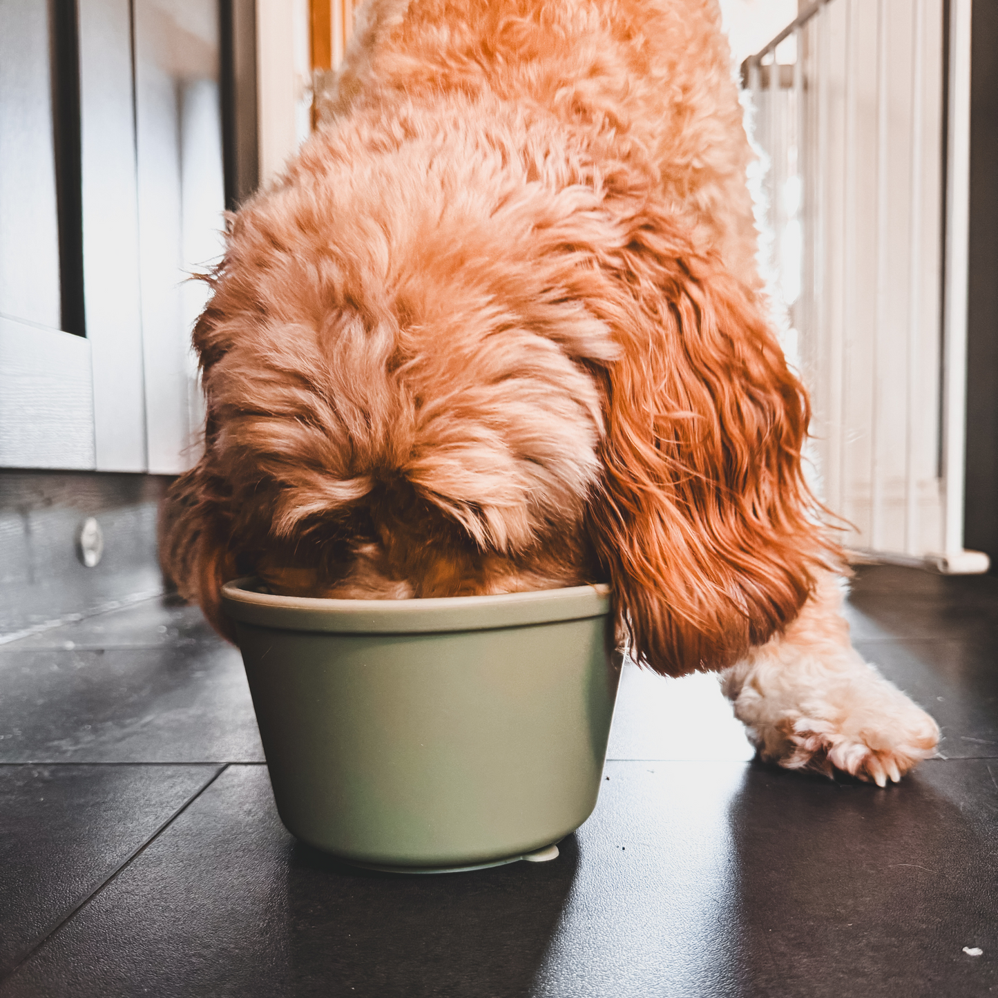 Lick Pots