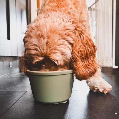 Lick Pots