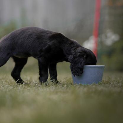 Lick Pots