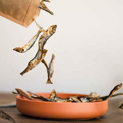 Sprats