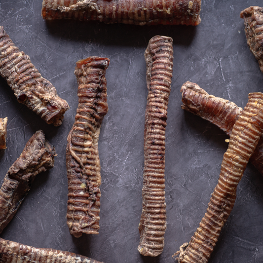 Trachea Whole